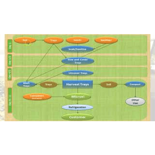 Microgreens Crop Planning – Part 1 of 3