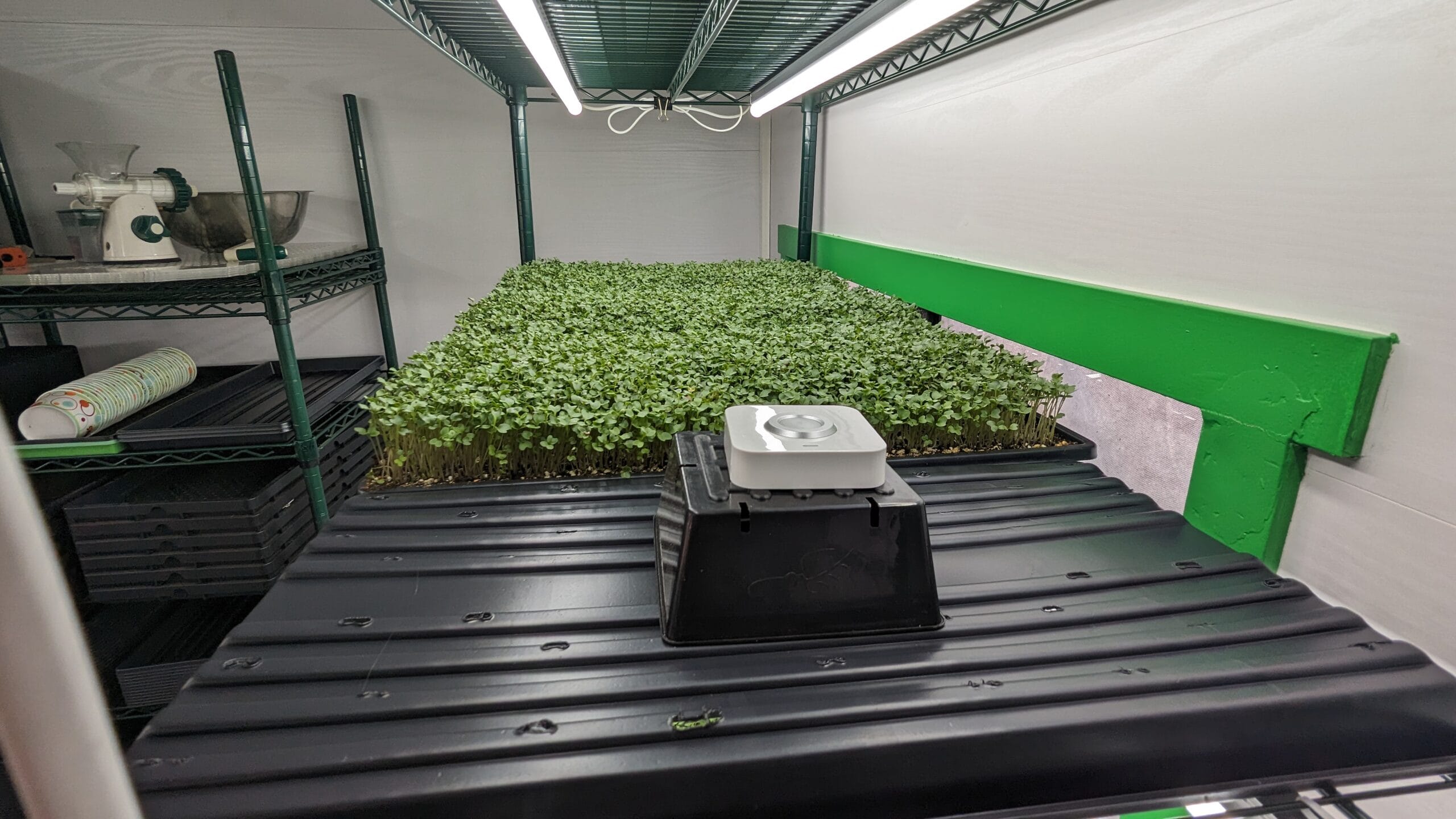 Microgreens Light Part III – Measuring and Mapping