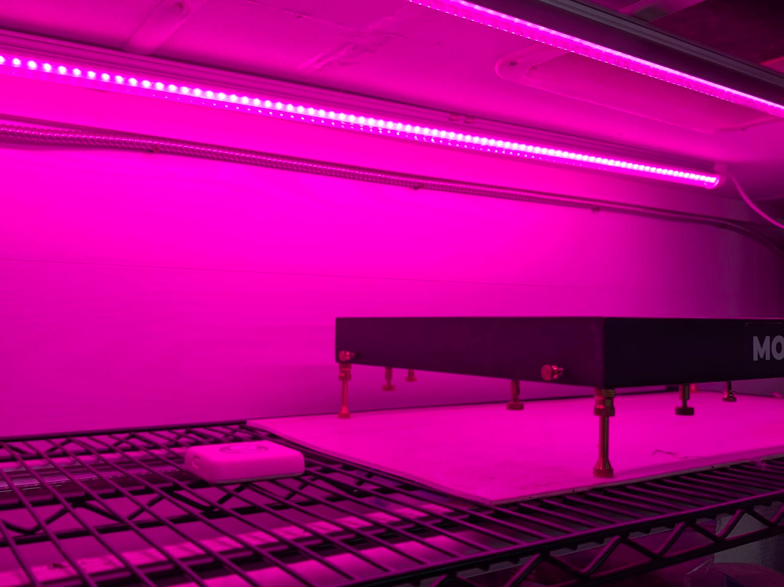 Microgreens Lighting Part VIIII – Lighting Research