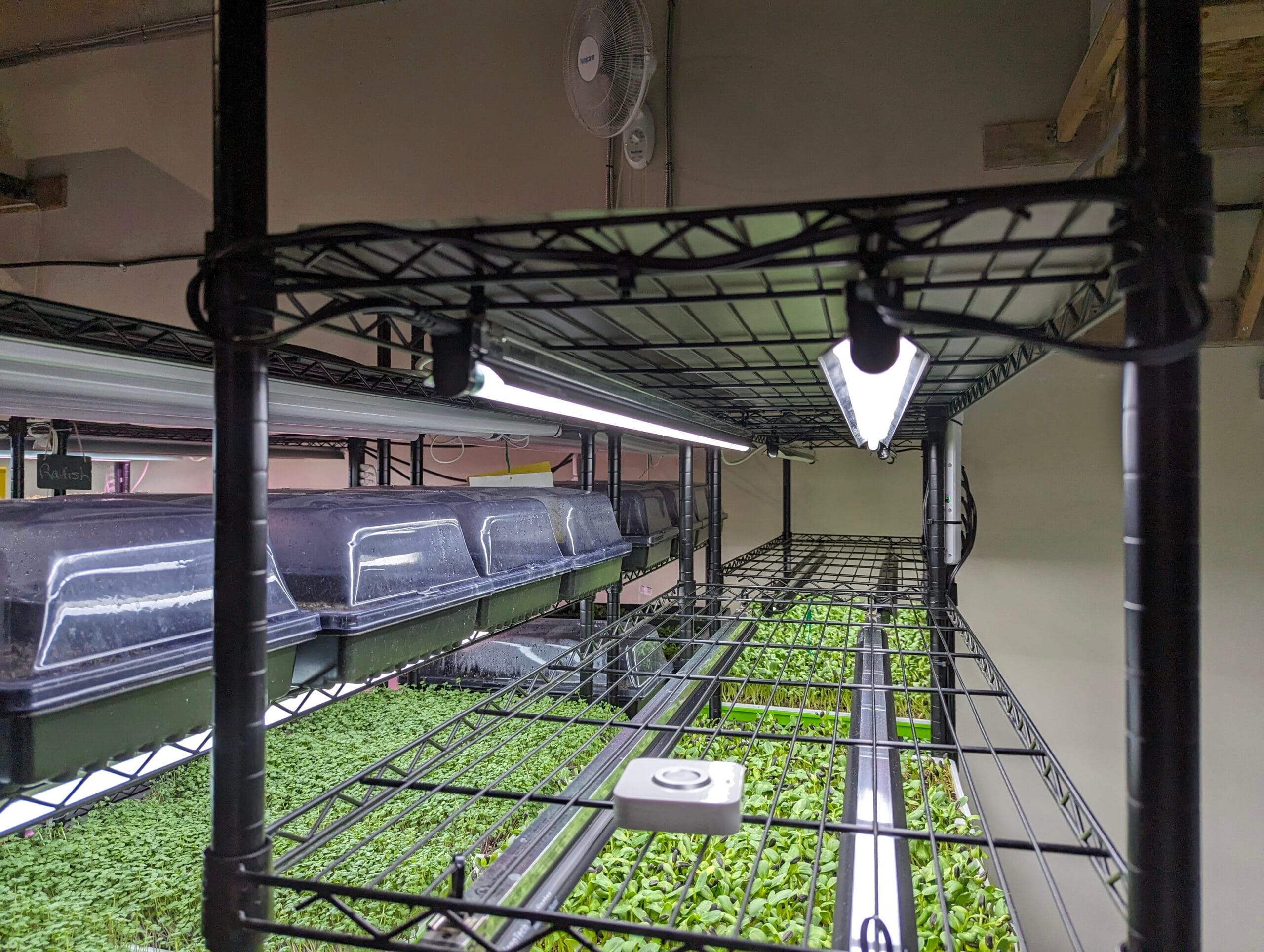 Microgreens Light Part V – Understanding PPFD and DLI with Calculations